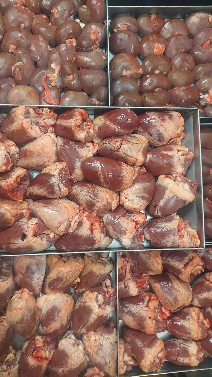 دل و و قلوه گوسفندی|خوردنی و آشامیدنی|تهران, بهداشت|دیوار