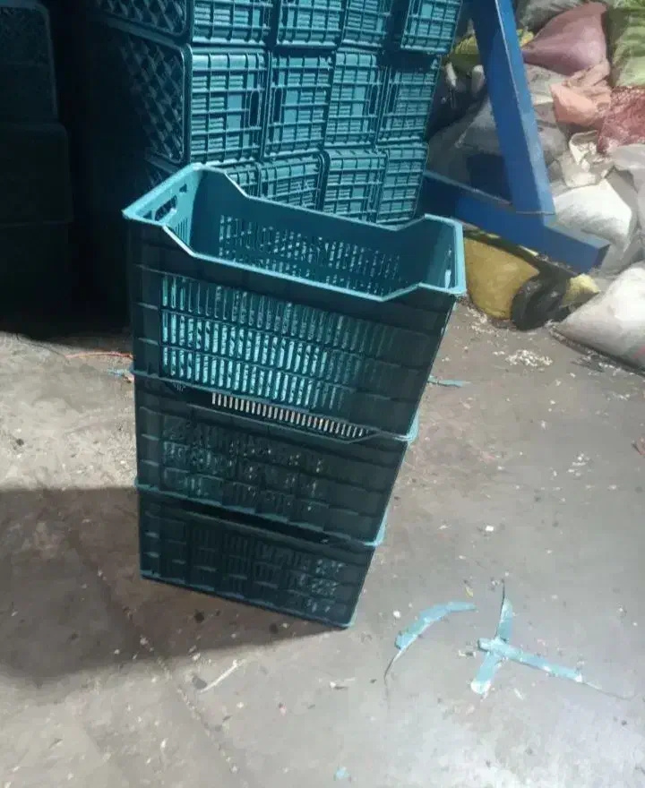 سبدمیوه|ظروف نگهدارنده، پلاستیکی، یک‌بارمصرف|ساری, |دیوار