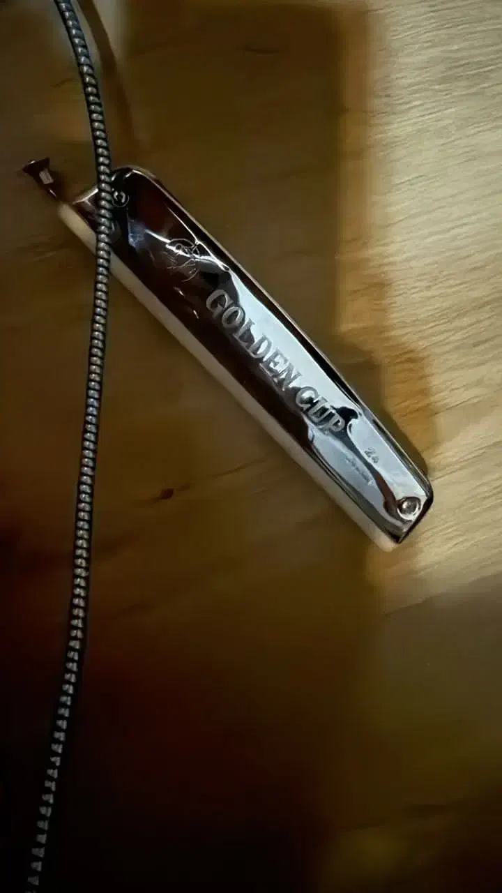 ساز دهنی|سازهای بادی|تهران, اکباتان|دیوار