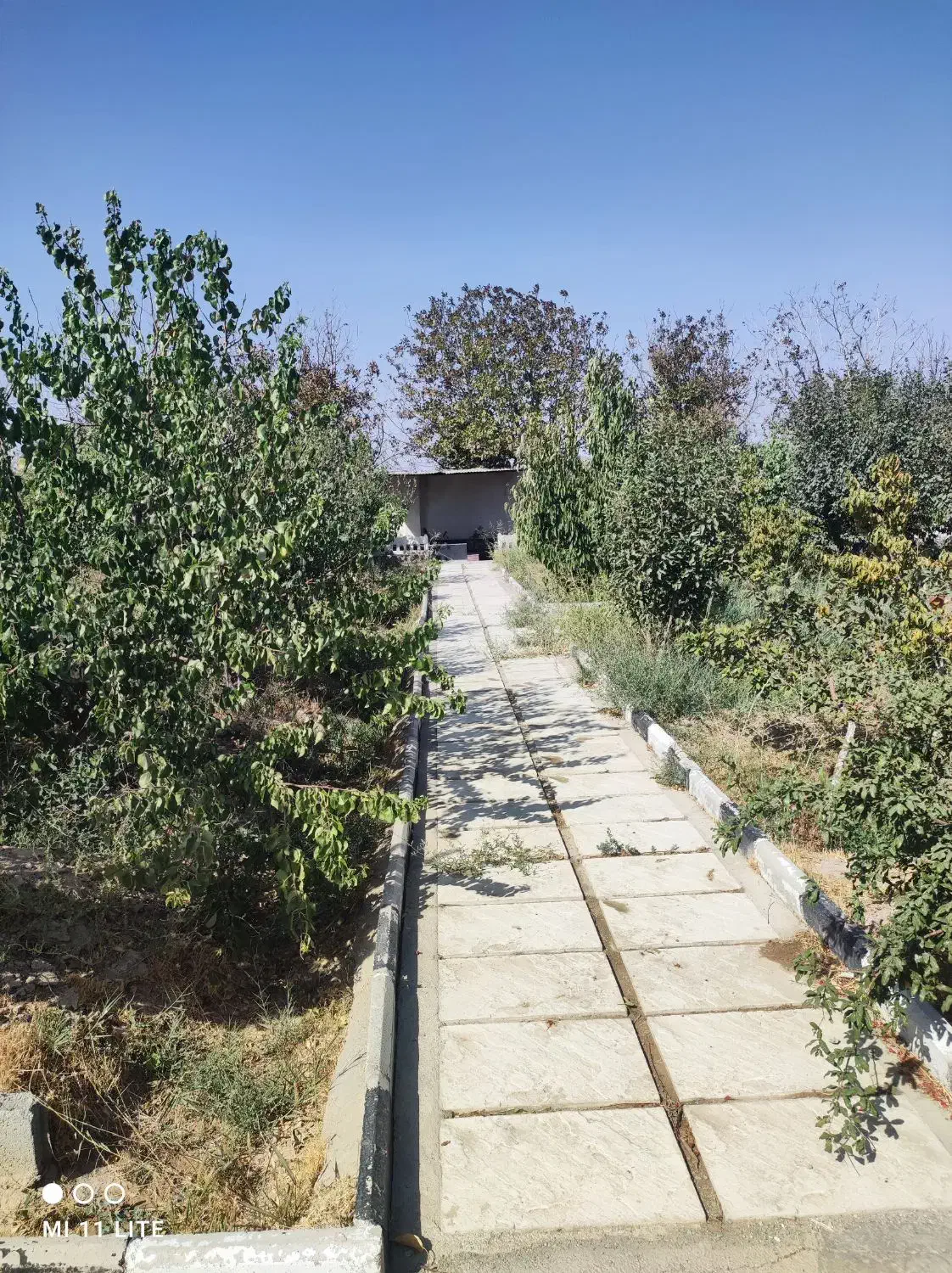 فروش باغچه 850 متری|فروش زمین و ملک کلنگی|رباط‌کریم, انجم آباد|دیوار