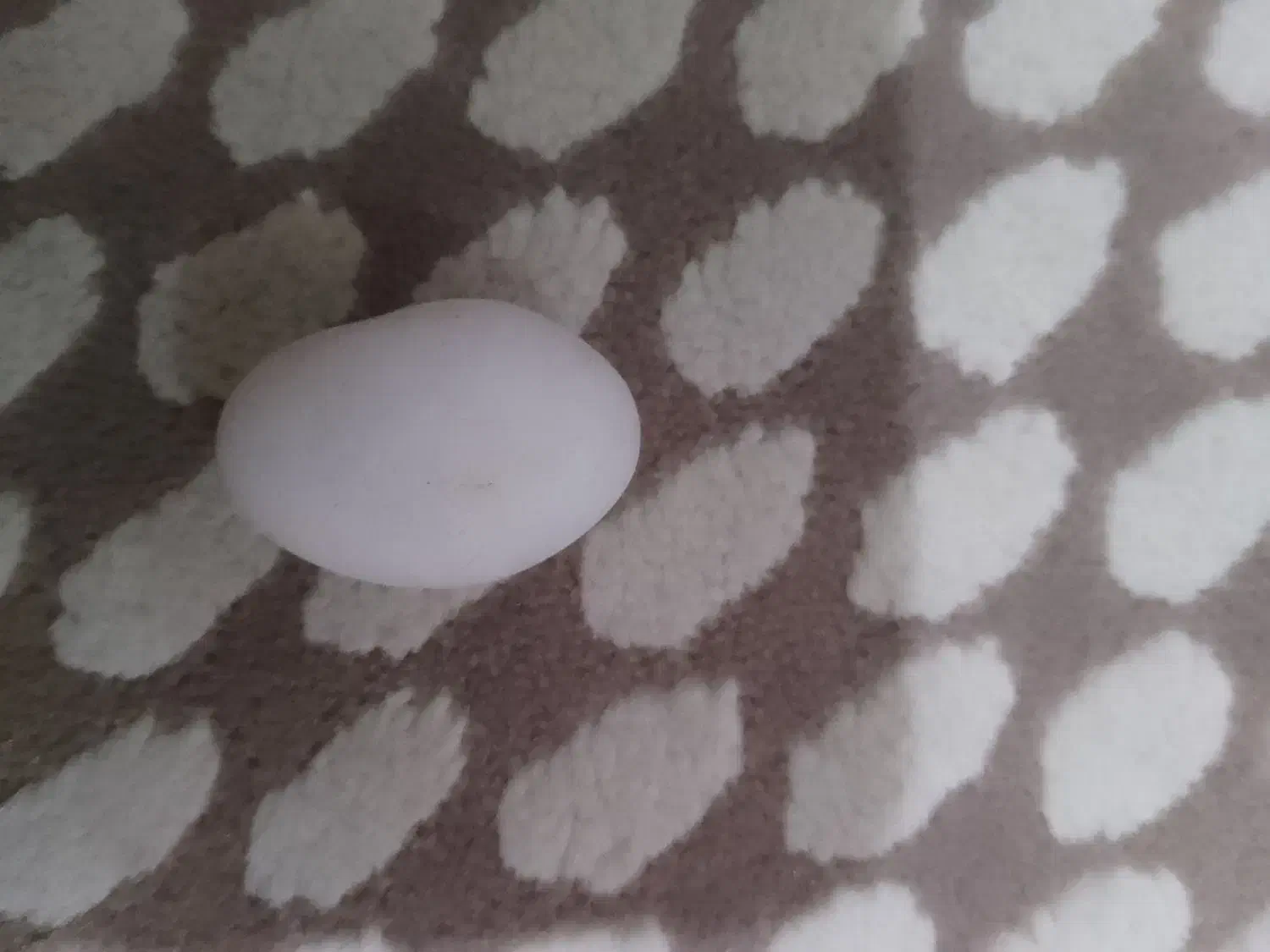 گوهر شب چراغ|بدلیجات|تهران, جوادیه تهرانپارس|دیوار