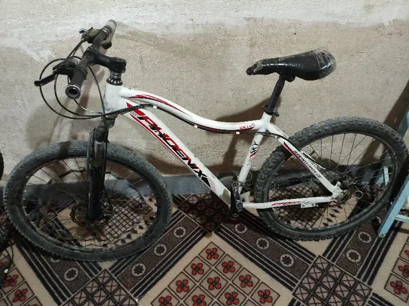 دوچرخه ۲۶|دوچرخه، اسکیت، اسکوتر|کوه چنار, |دیوار