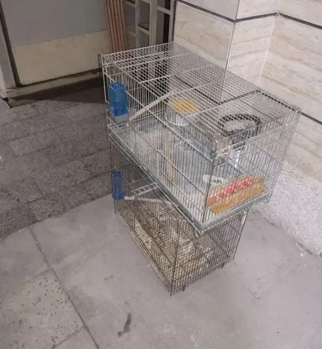قفس غلامی قدیمی بزرگ سایز۶|لوازم جانبی حیوانات|تهران, شهرک دریا|دیوار
