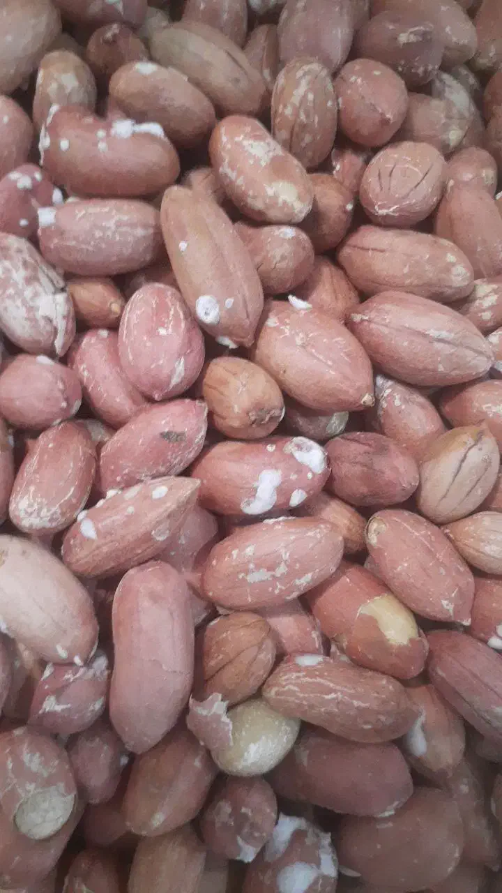 بادام زمینی آستانه درجه یک|خوردنی و آشامیدنی|تهران, جوادیه تهرانپارس|دیوار