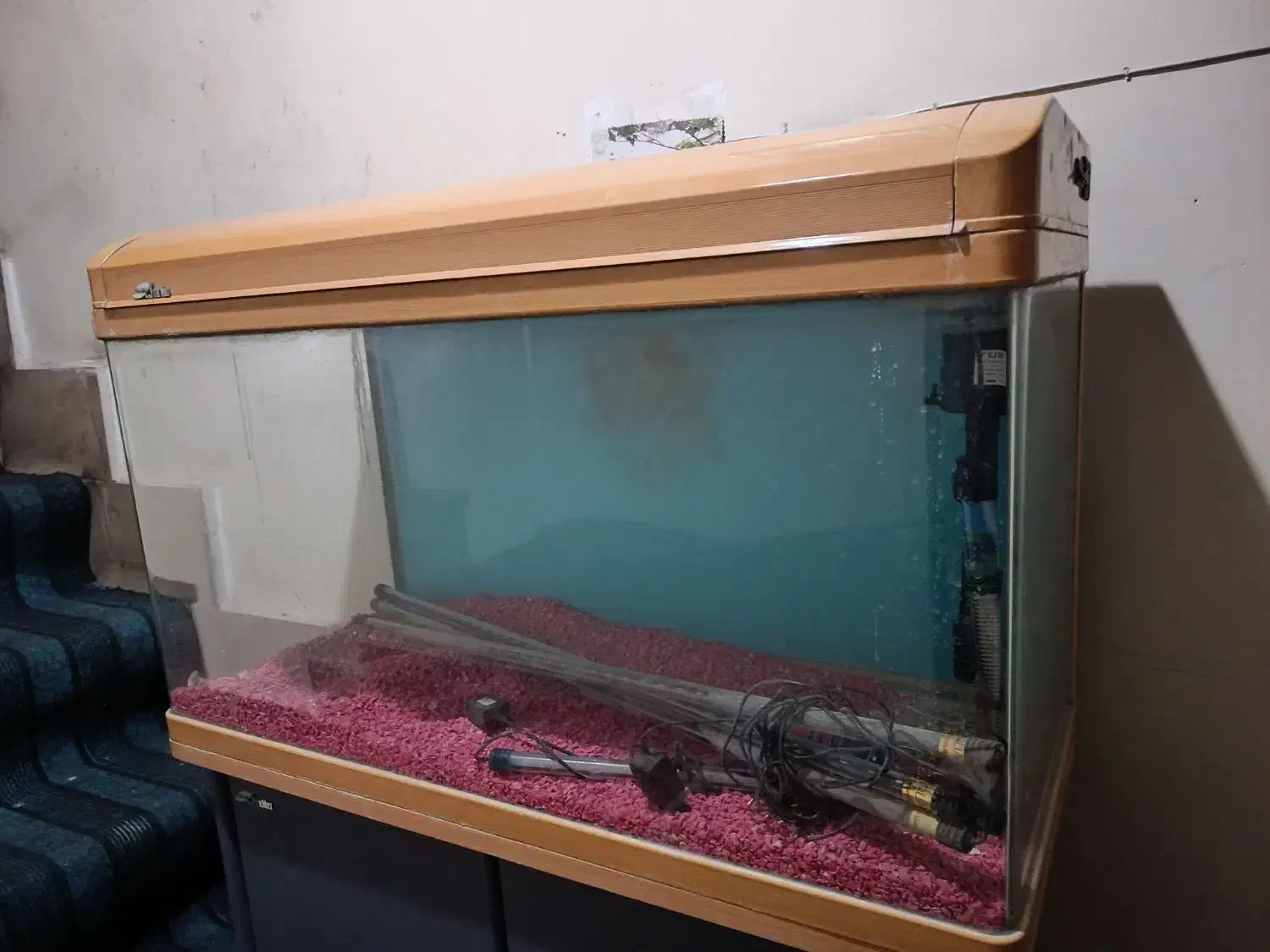 آکواریوم|ماهی|تهران, علی‌آباد|دیوار