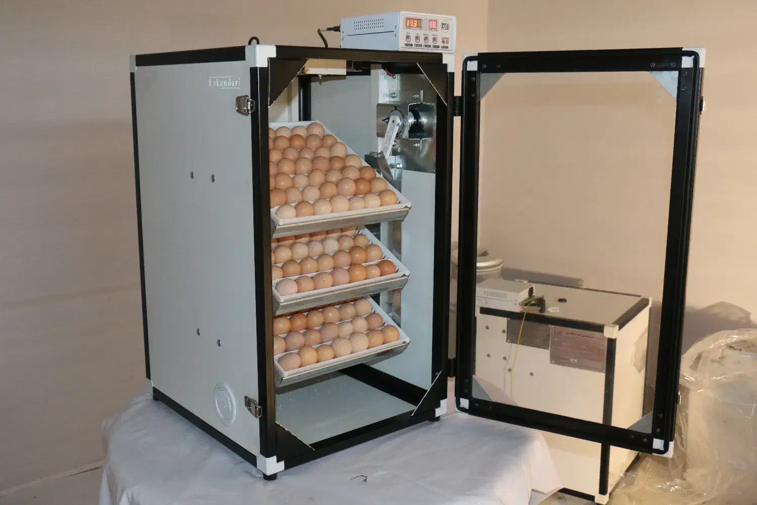 دستگاه جوجه کشی 168 تایی سوپرمینیاتور + گارانتی|لوازم جانبی حیوانات|ساری, |دیوار