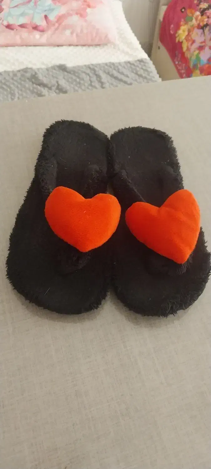 دمپایی سایز 37|کیف، کفش، کمربند|پرند, فاز ۴|دیوار