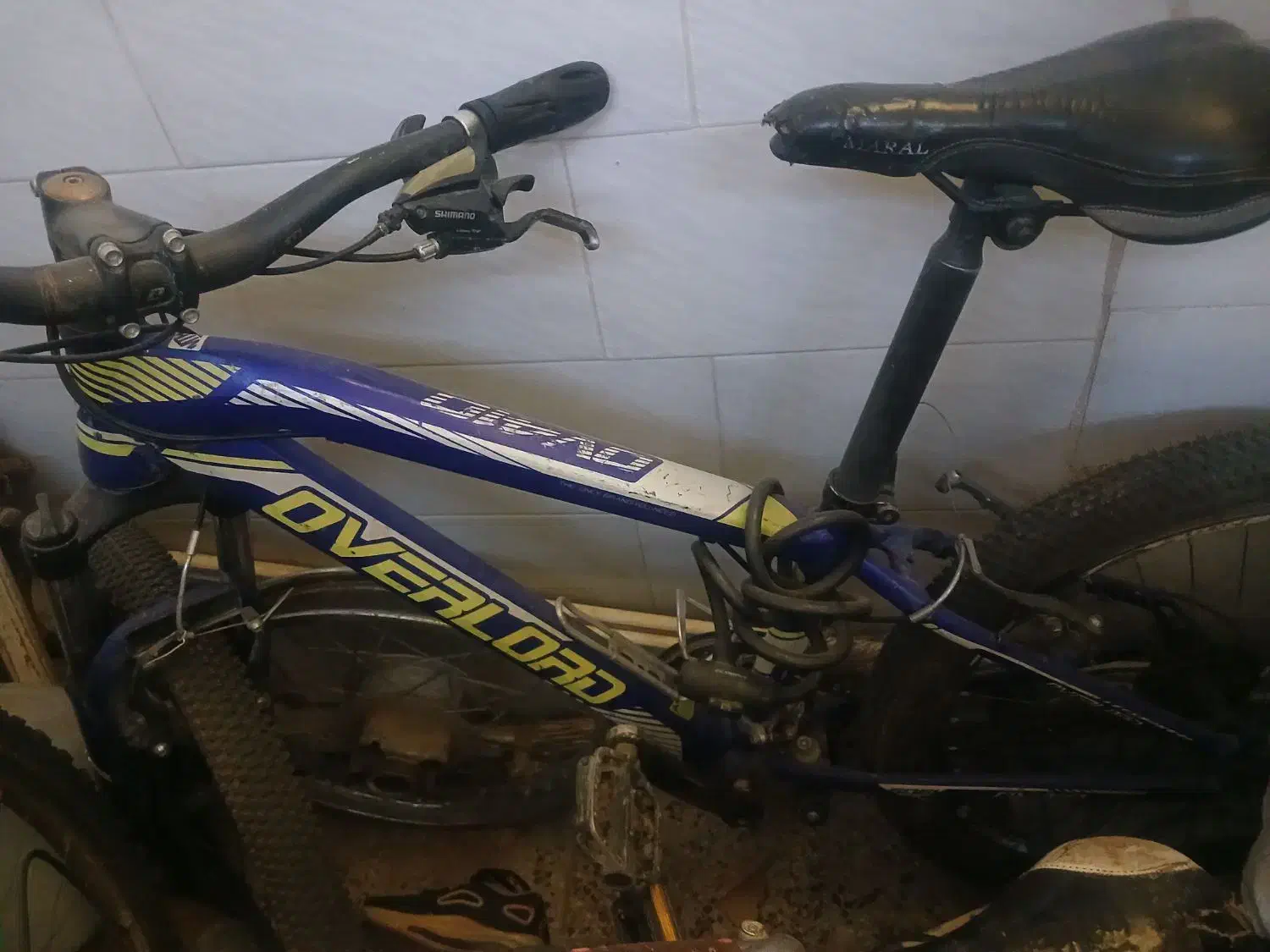 چرخ  در حد نو ۲۴ اورلورد ۸میلیون|دوچرخه، اسکیت، اسکوتر|نجف‌آباد, شهید رجایی|دیوار