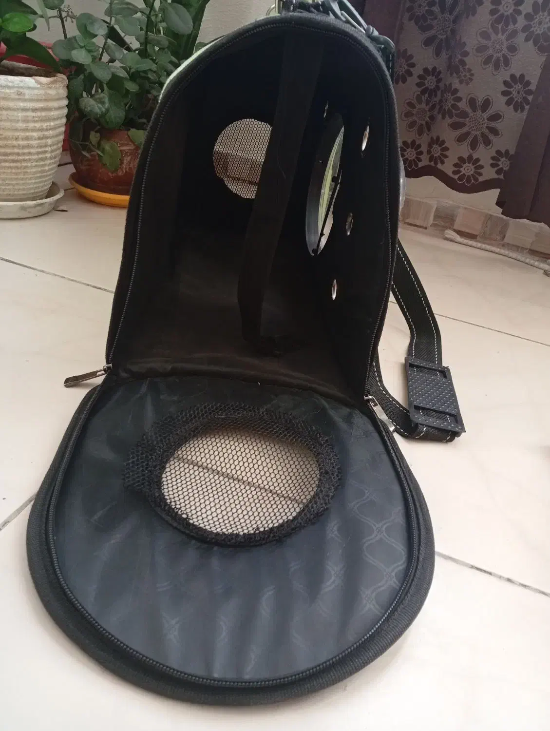 باکس سگ و گربه|لوازم جانبی حیوانات|پردیس, فاز ۳|دیوار