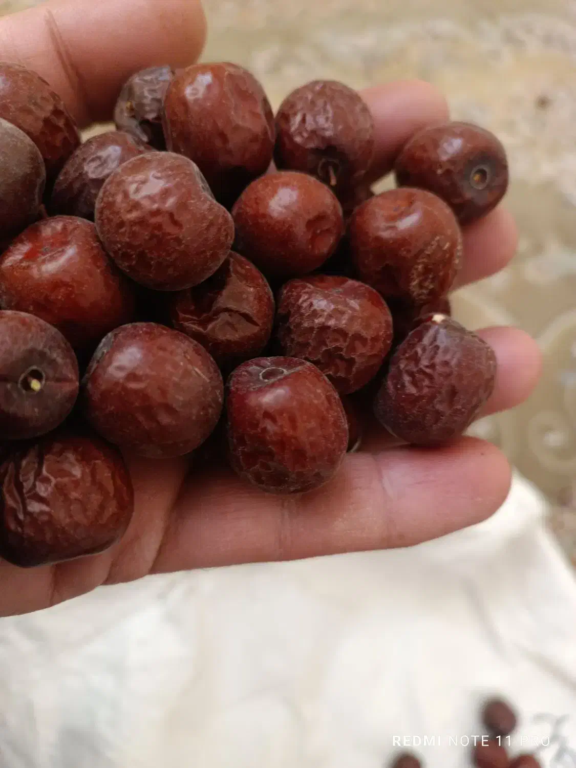 فروش کلی و جزئ عناب در بیرجندومشهد|خوردنی و آشامیدنی|مشهد, شهید بهشتی|دیوار