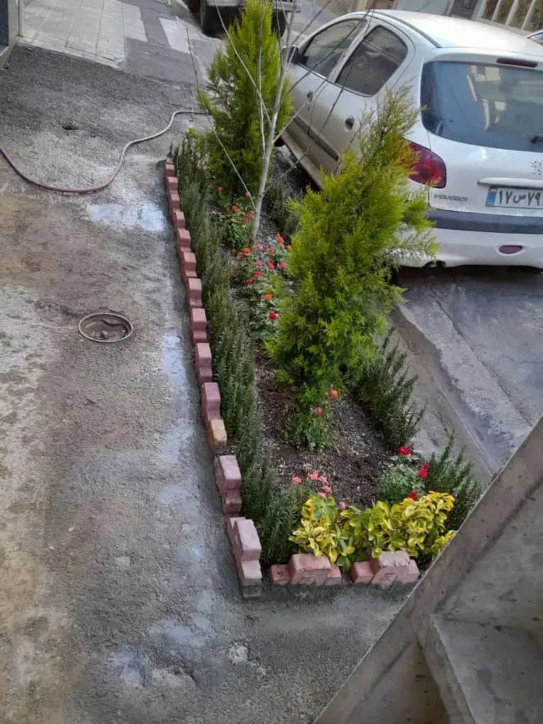 خدمات باغبانی صفر تا صد|خدمات باغبانی و درختکاری|کرج, فاز ۴ مهرشهر|دیوار