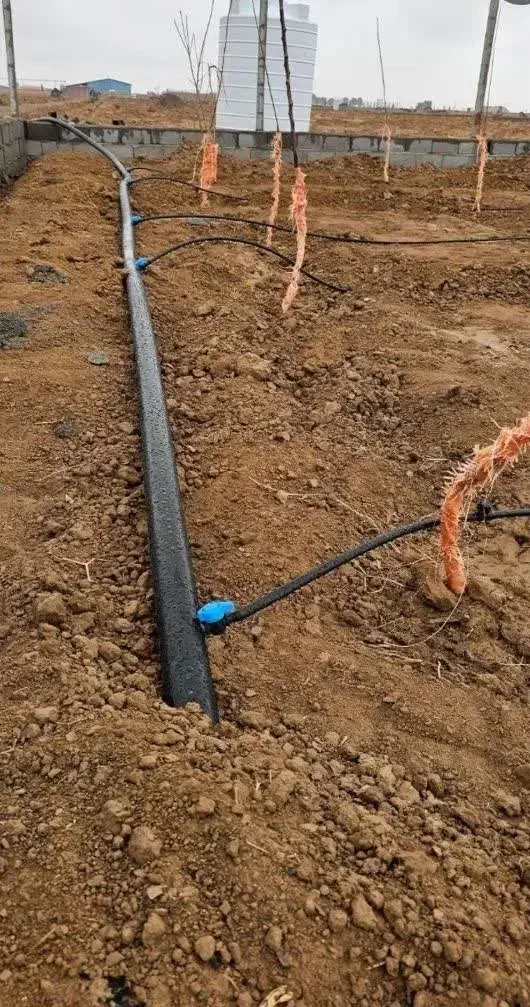 زمین باغی سنددار گرگاب سرمایه گذاری عالی|فروش زمین و ملک کلنگی|شاهینشهر, بوستان حافظ|دیوار