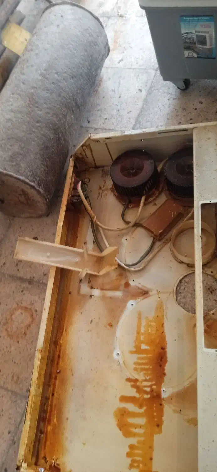 سرویس انواع هود|خدمات پیشه و مهارت|دوگنبدان, |دیوار