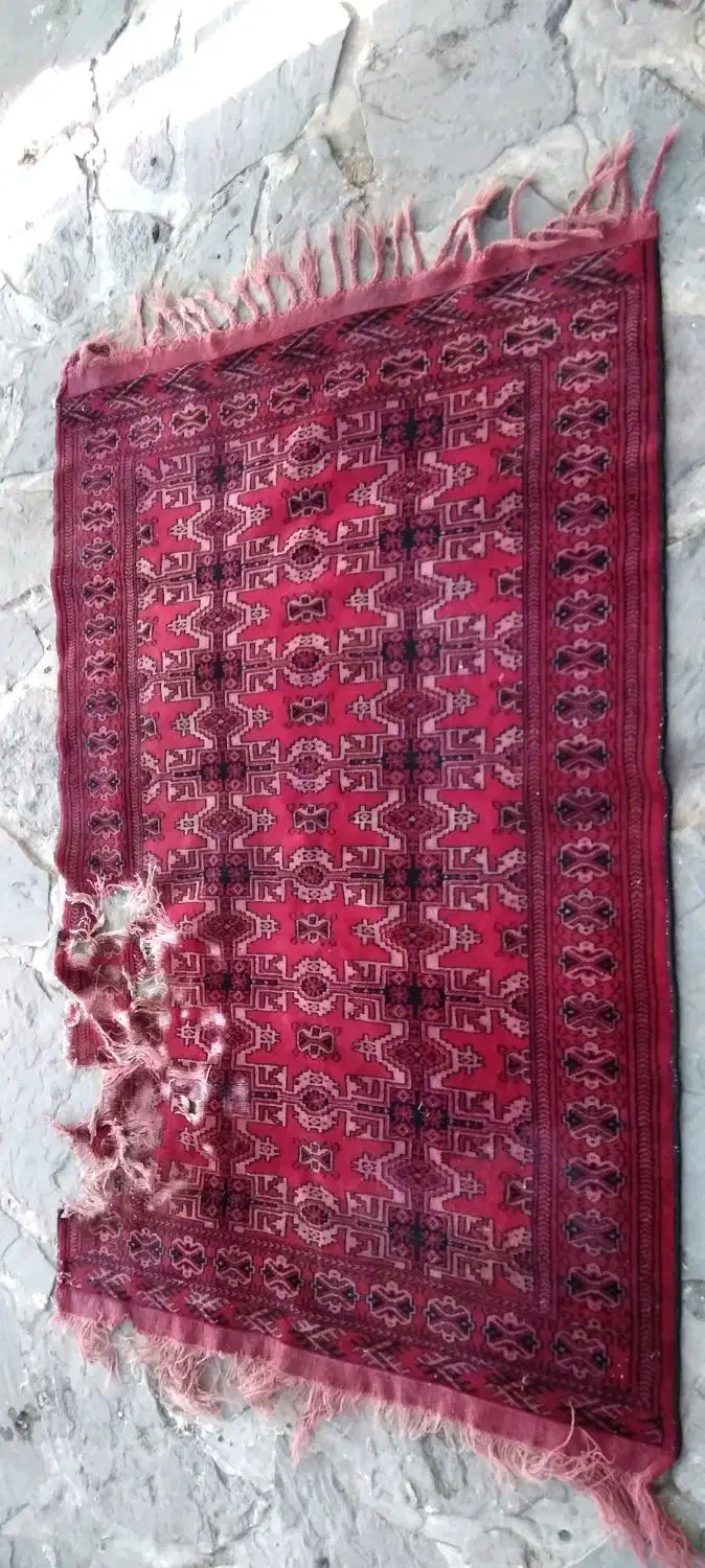 فرش دستباف|فرش|مشهد, دوست آباد|دیوار