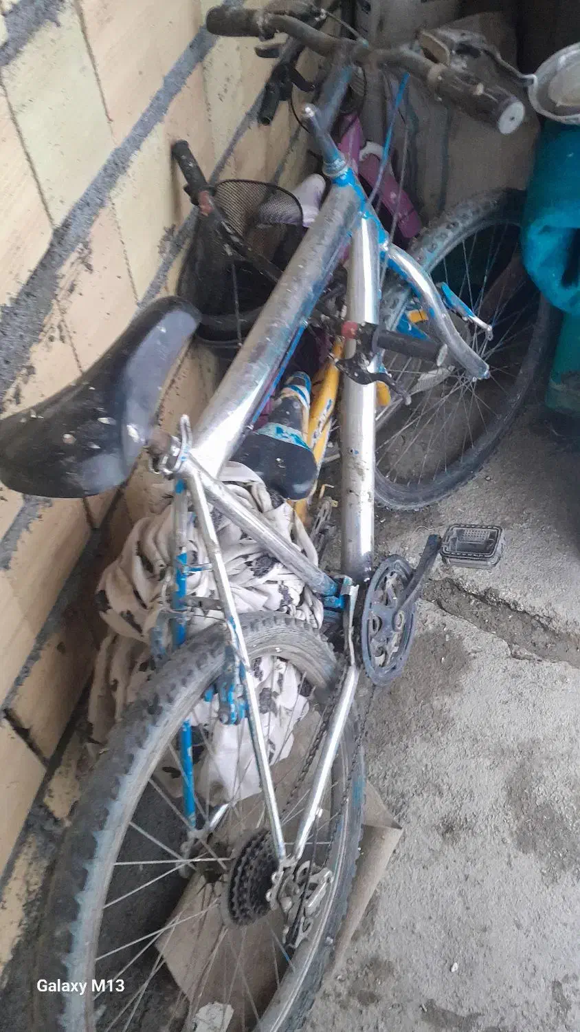 دوچرخه|دوچرخه، اسکیت، اسکوتر|کنگاور, |دیوار