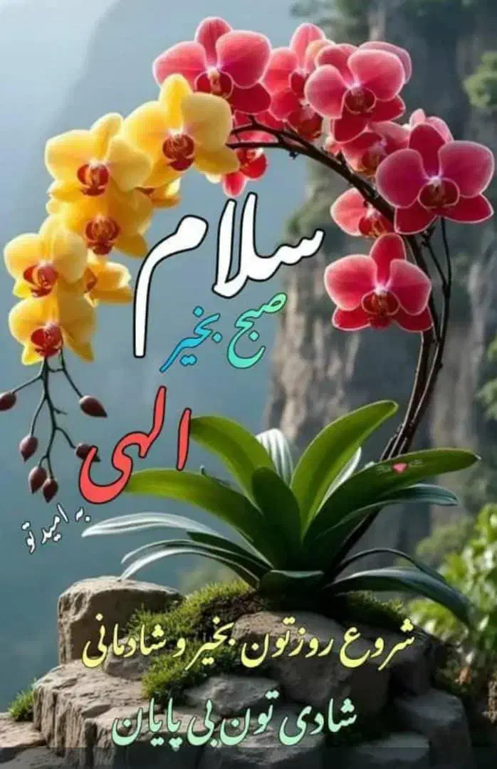 کاردرمنزل|استخدام سرایداری و نظافت|شیراز, شهرک ایثار|دیوار