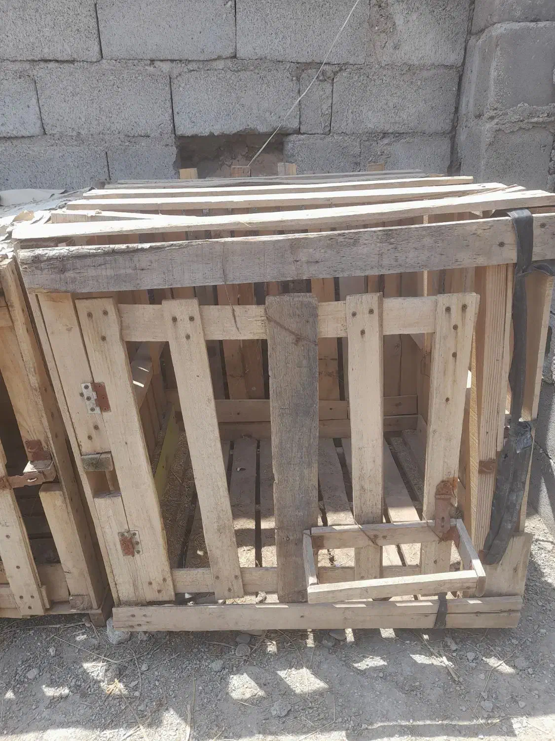 قفس|لوازم جانبی حیوانات|میناب, |دیوار