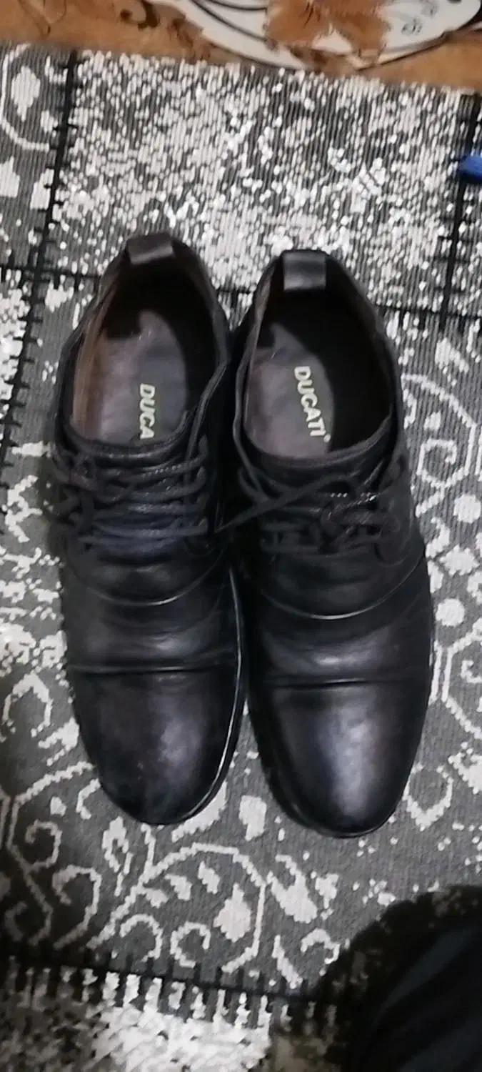 یک جفت کفش چرم مردانه|کیف، کفش، کمربند|گرگان, |دیوار