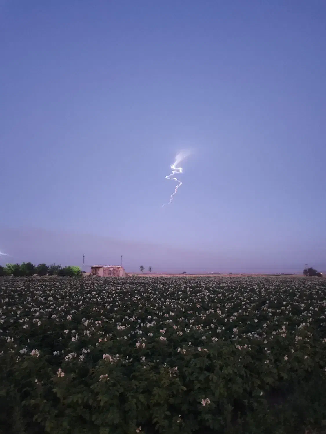 اجاره زمین کشاورزی ۱/۵هکتار۲۰آپاش ۱۰/۵ساعت سهم آب|اجارهٔ دفتر صنعتی، کشاورزی، تجاری|کبودرآهنگ, |دیوار