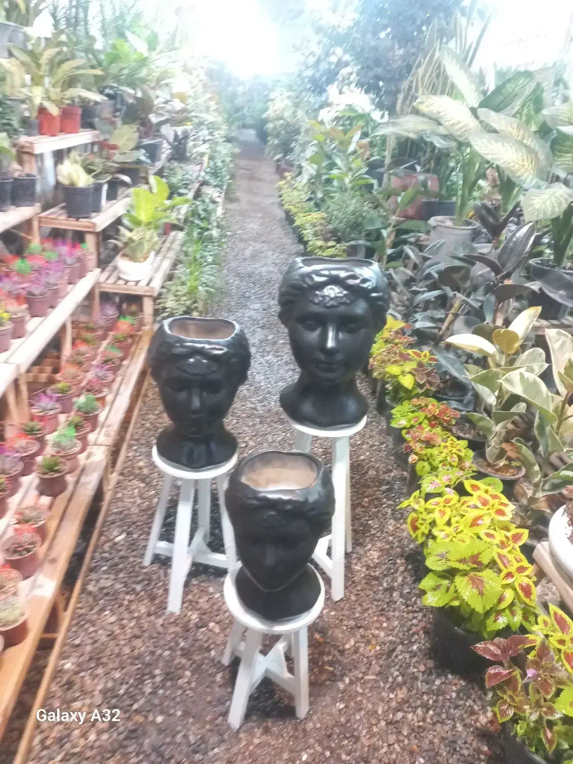 واگذاری ۳۰۰ متر گلخانه فروشگاهی|اجارهٔ دفتر صنعتی، کشاورزی، تجاری|مشهد, حضرت حجت|دیوار