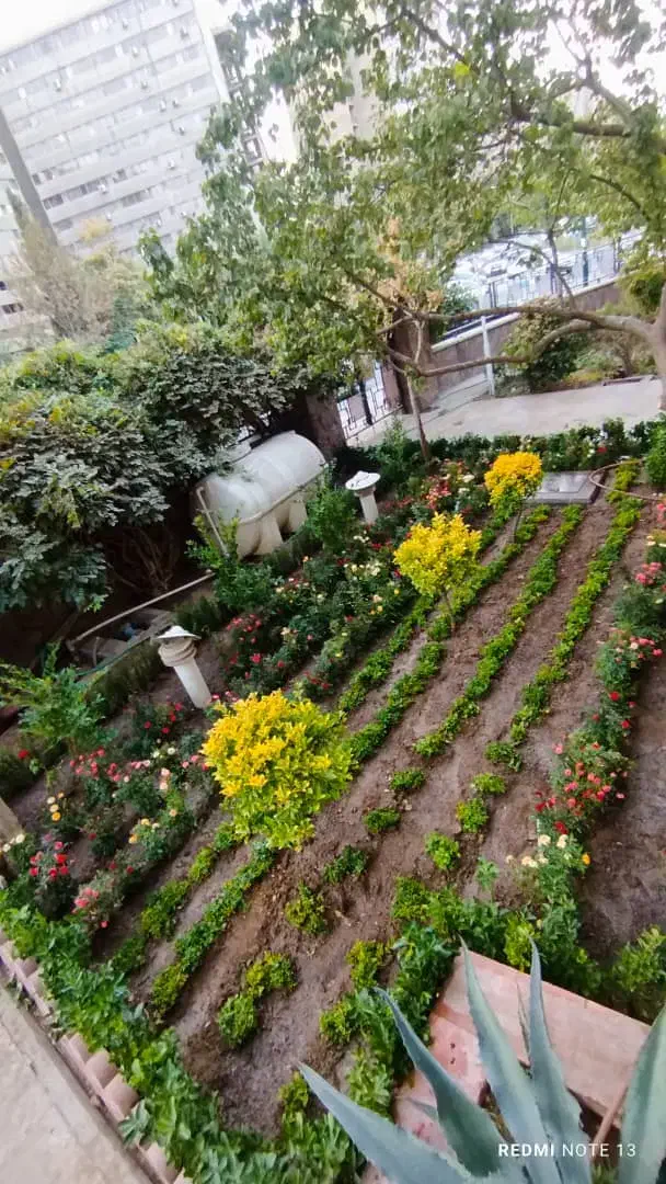 تعویض خاک گلدان و باغچه کاری گیاه پزشک در محل|خدمات باغبانی و درختکاری|تهران, سعادت‌آباد|دیوار