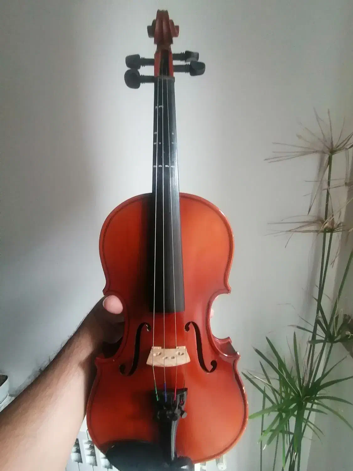 ویولون تی اف (آموزشی)|ویولن|تهران, شمس‌آباد|دیوار