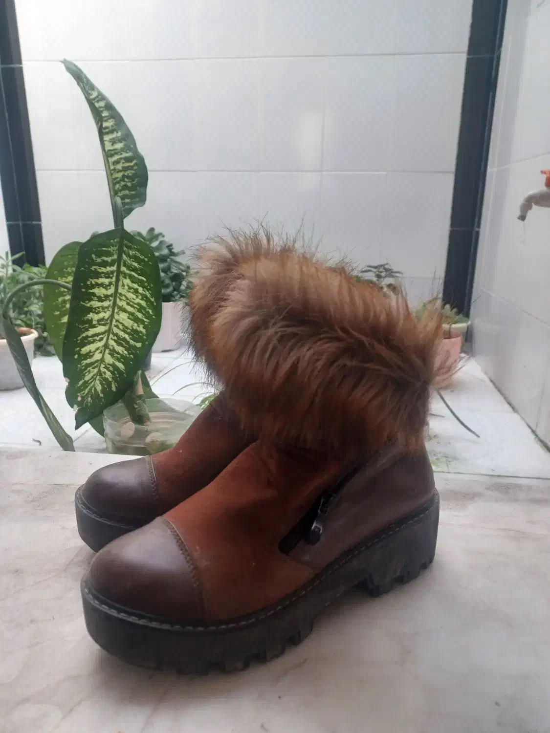 کفش چرم|کیف، کفش، کمربند|بیلوار, |دیوار