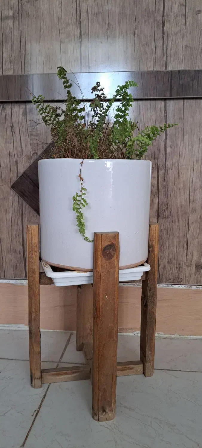 گلدان گل طبیعی با استند وباکس گل طبیعی|گل و گیاه طبیعی|کرمان, |دیوار