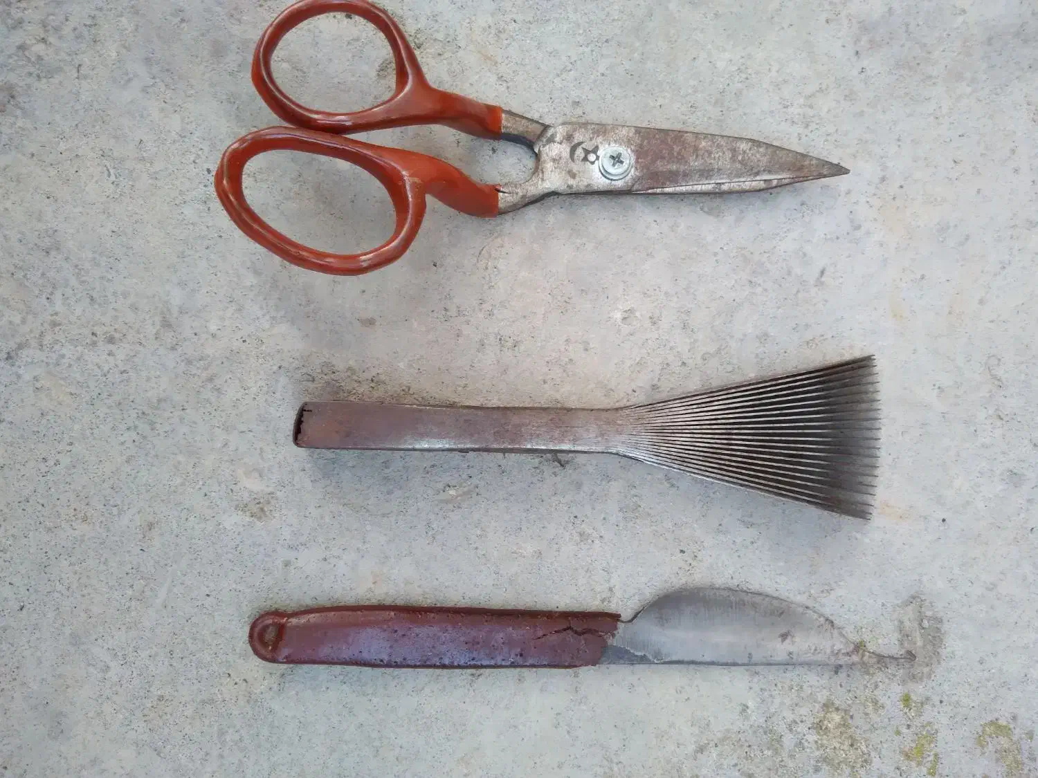 دار قالی با وسیله|لوازم خیاطی و بافتنی|آستانه اشرفیه, |دیوار