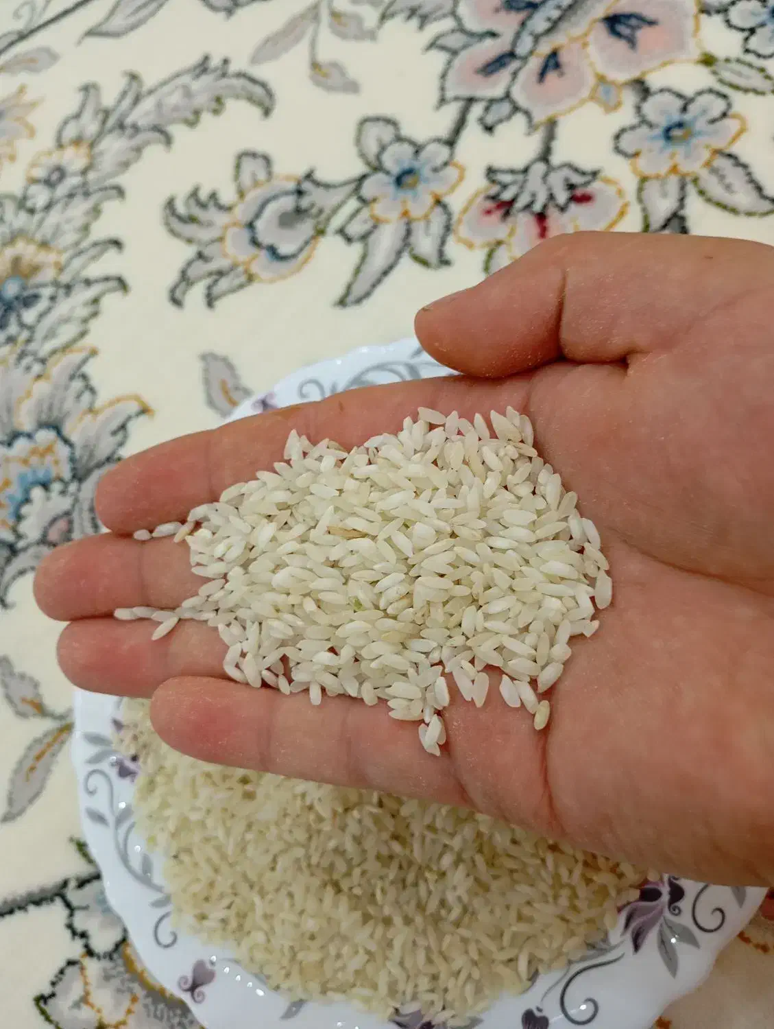 برنج چمپه|عمده‌فروشی|یاسوج, |دیوار