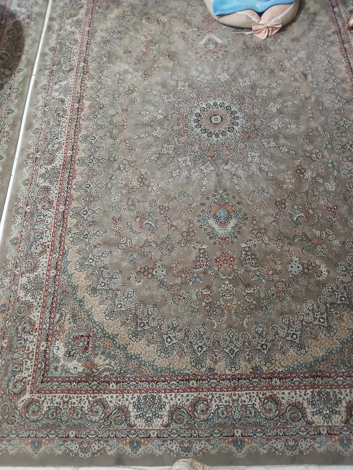 فرش 6متری فروش فوری|فرش|بومهن, |دیوار