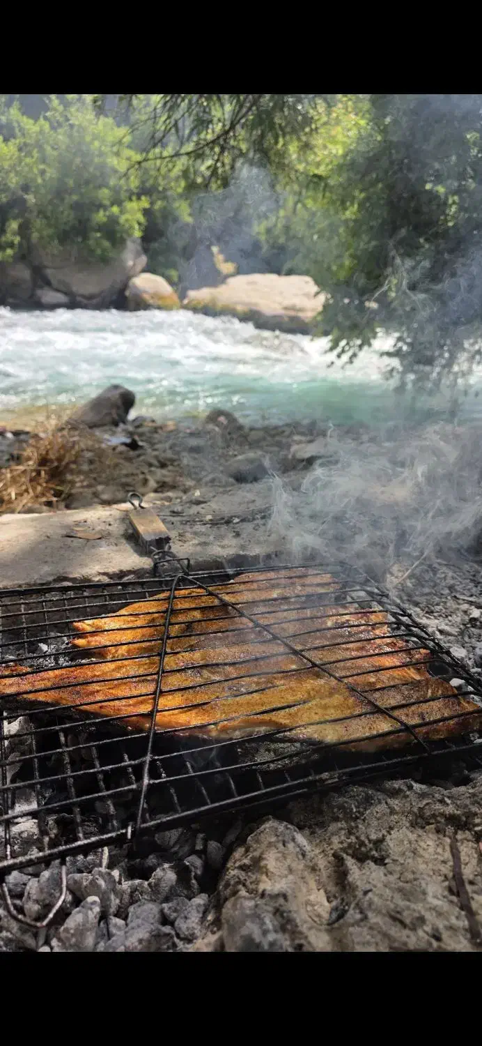 ماهی قزل الا پرورشی سوسن سرخاب پاک شده کیلو370|ماهی|مسجد سلیمان, |دیوار