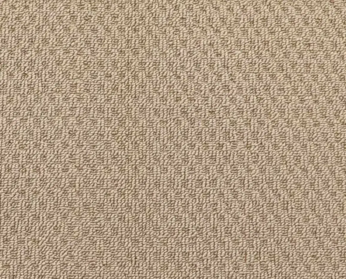 موکت|موکت|نظرآباد, نظرآباد|دیوار