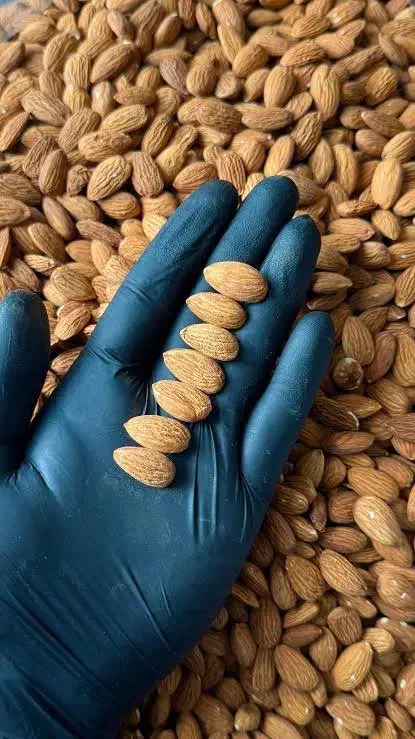 جذب فوری کارگرساده(شرکت آجیل)جاخواب/سرویس/حراست|استخدام صنعتی، فنی، مهندسی|تهران, تهرانسر مرکزی|دیوار