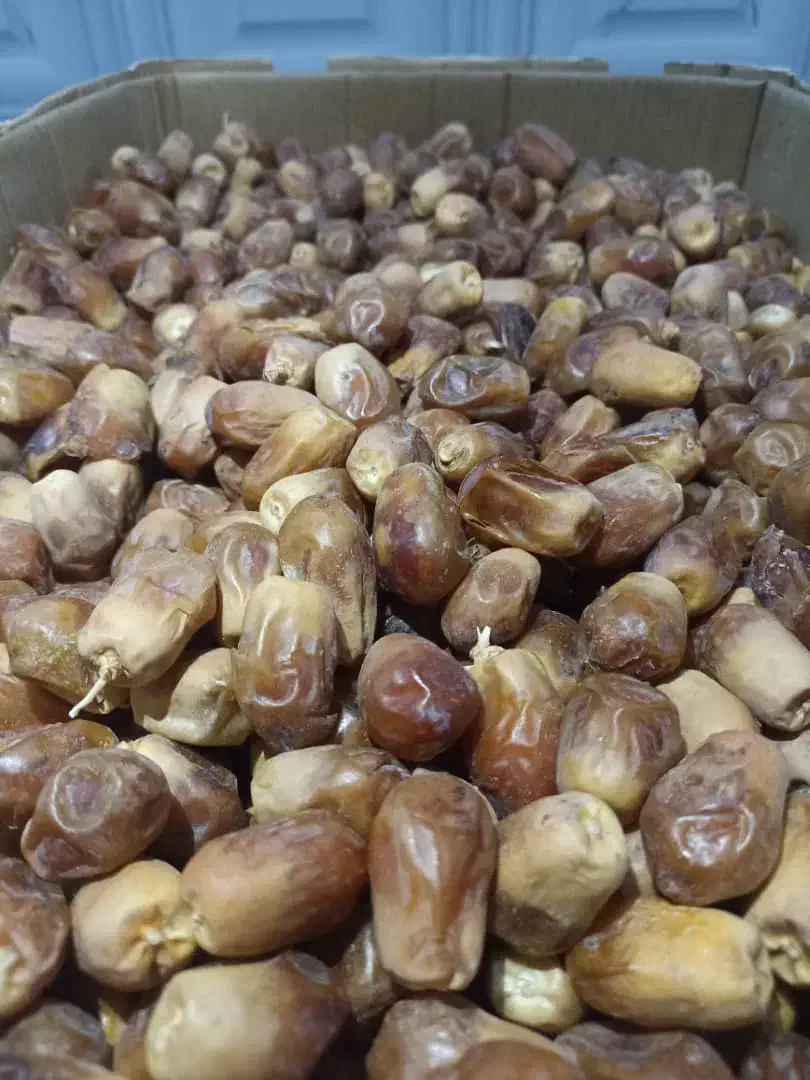 زاهدی نرم خوزستان رسید|خوردنی و آشامیدنی|هندمینی, |دیوار