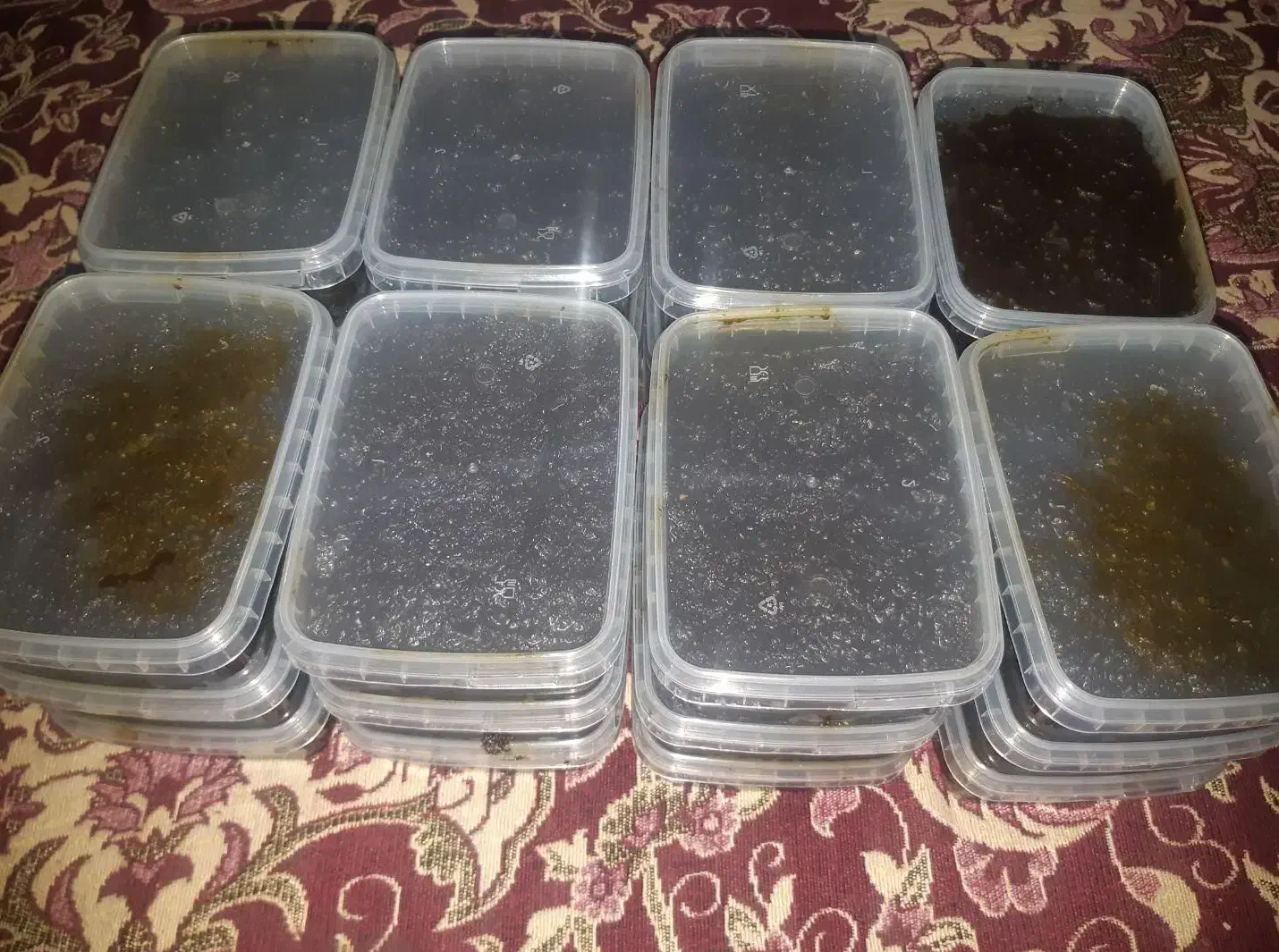 سبزی قرمه سرخ شده با سبزی محلی|خوردنی و آشامیدنی|رشت, رشتیان|دیوار