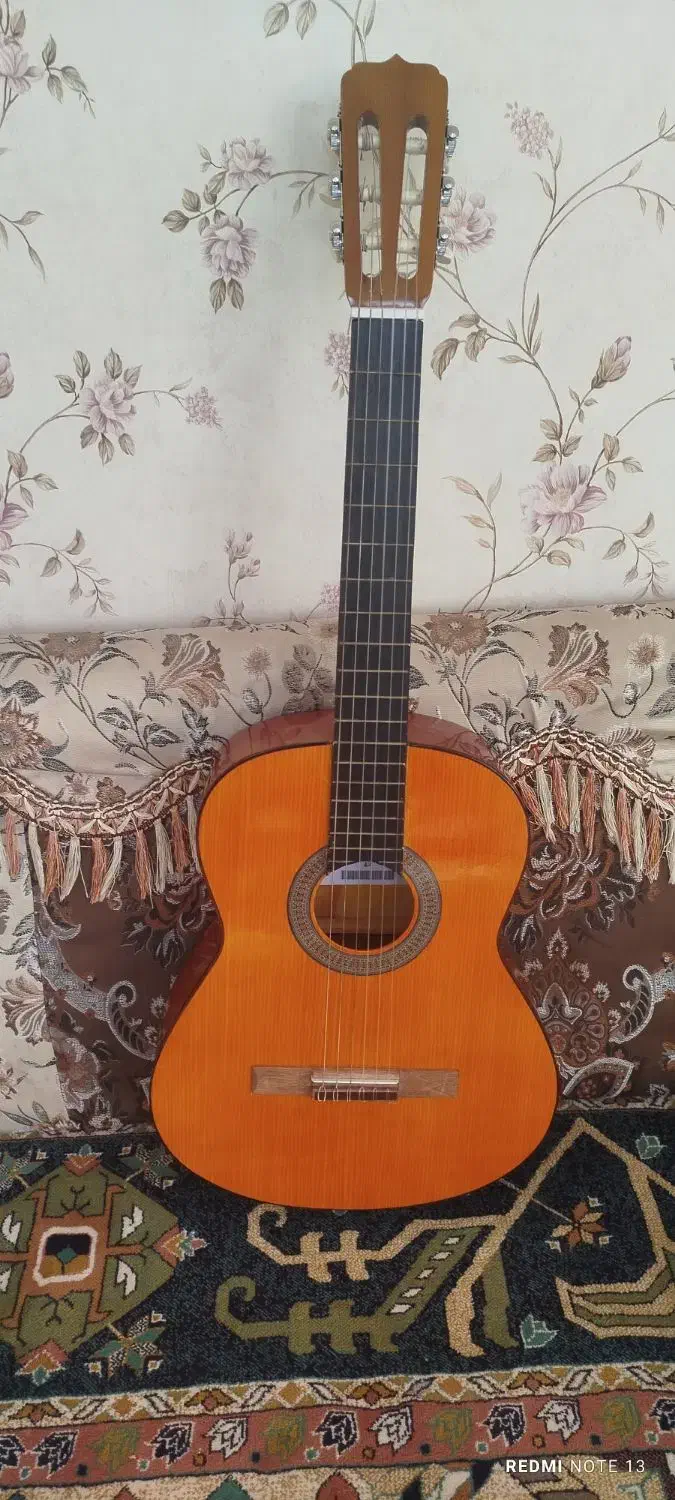 گیتار|گیتار، بیس، امپلیفایر|شیروان (خراسان), |دیوار