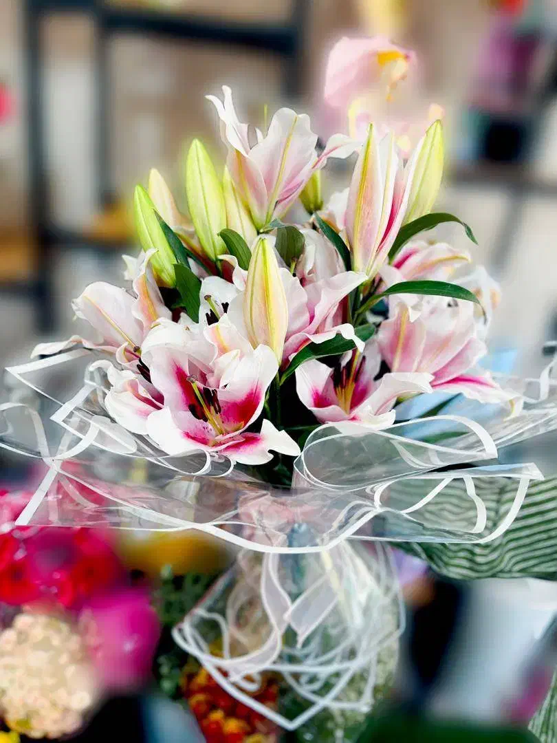 گلفروشی/گل/باکس گل/دسته گل/تاج گل|گل و گیاه طبیعی|شیراز, رکنآباد|دیوار