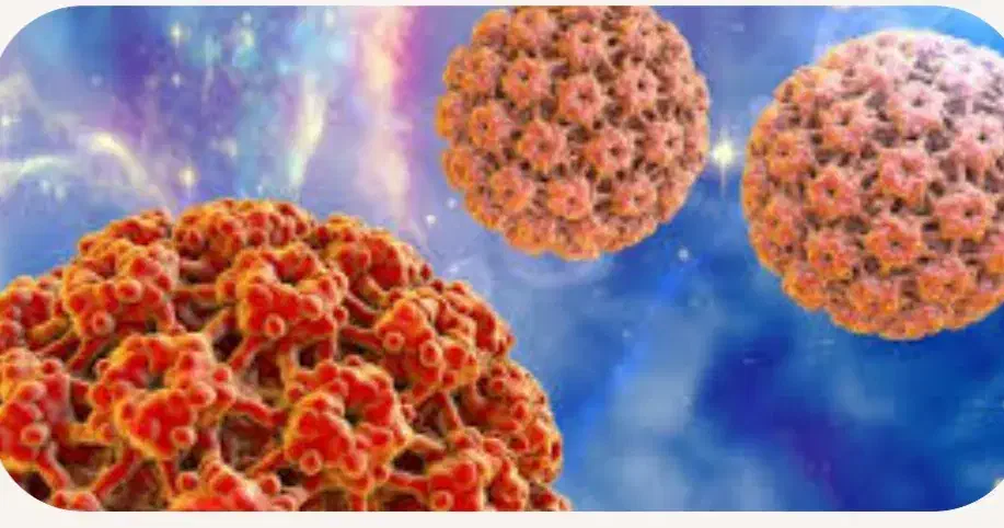 کمک به بهبودزگیل تناسلی(HPV) بصورت تضمینی|آرایشی، بهداشتی، درمانی|آمل, |دیوار