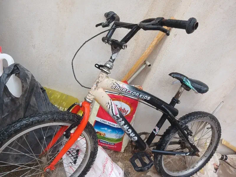 دوچرخه|دوچرخه، اسکیت، اسکوتر|کبودرآهنگ, |دیوار