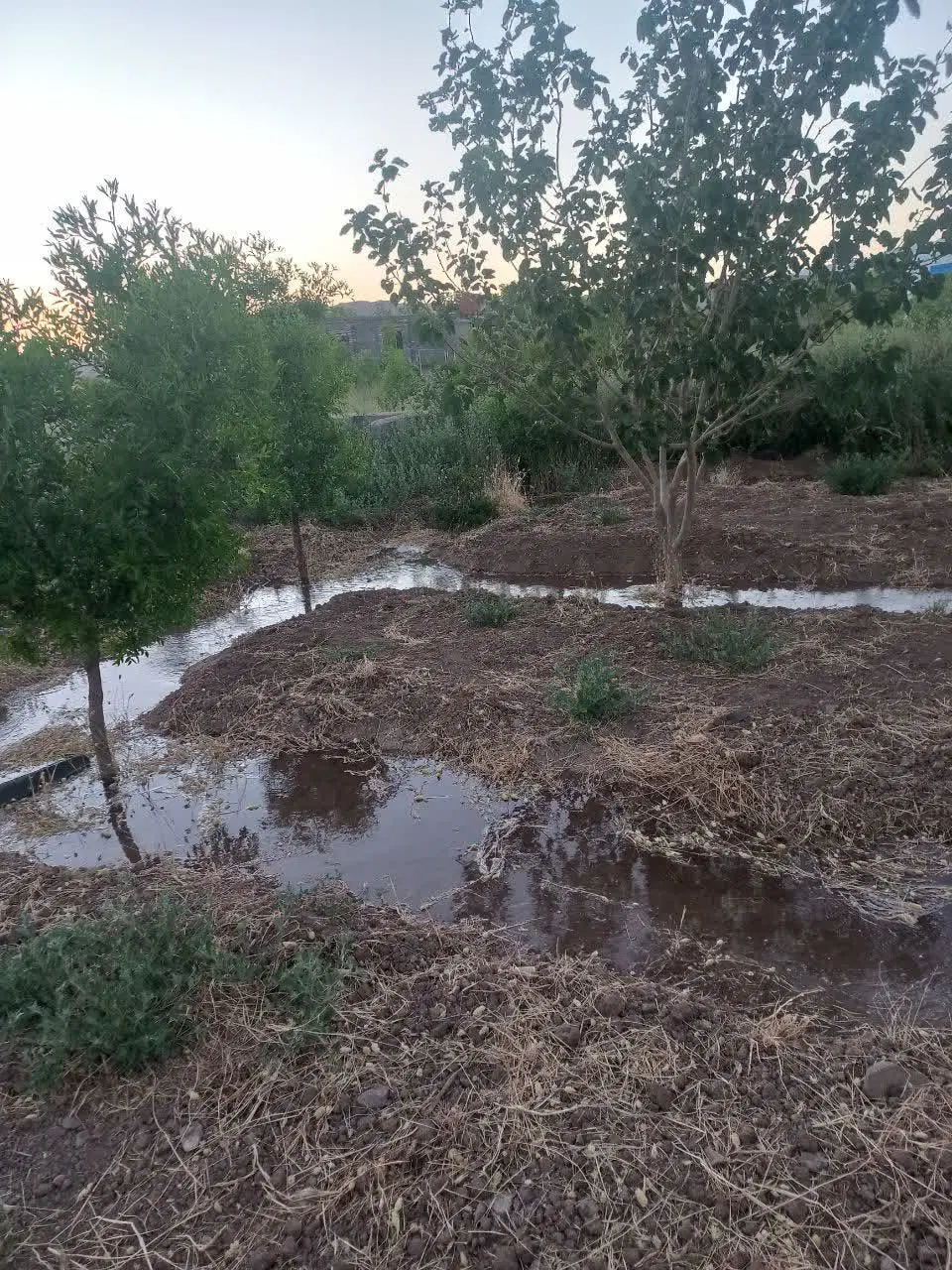 تصویر 6