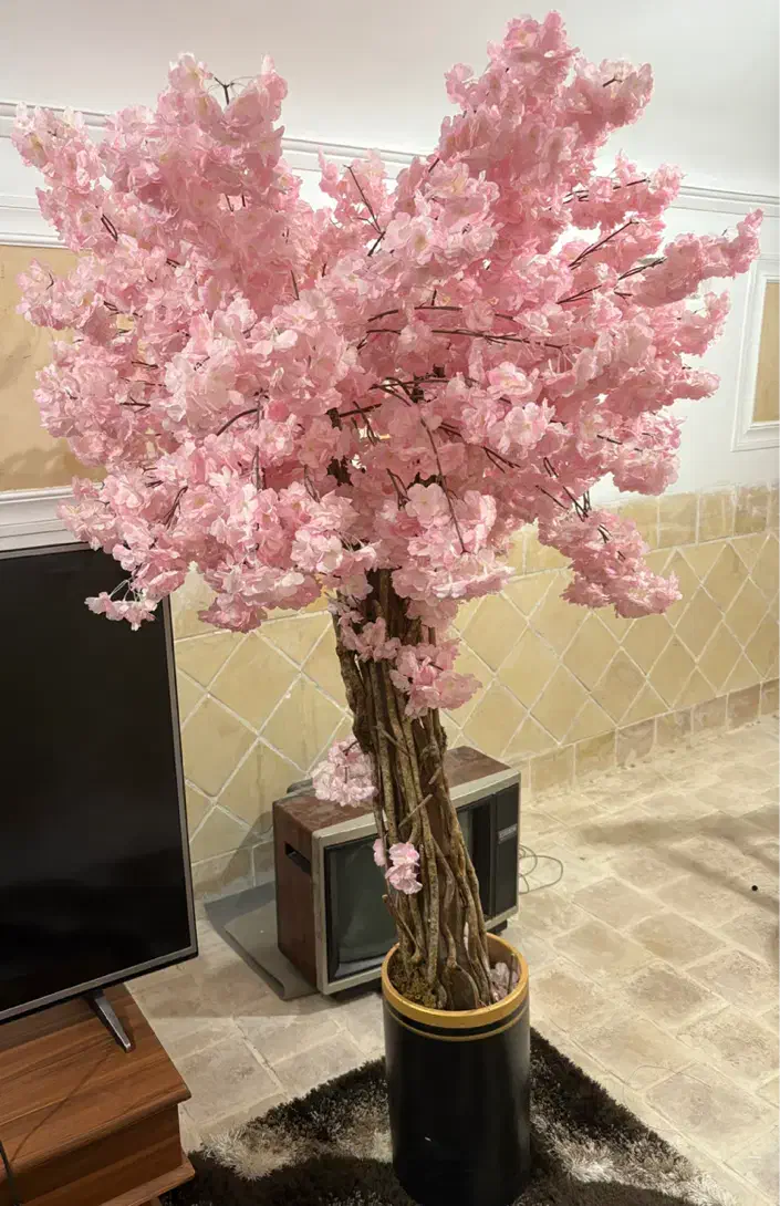 درخچه شکوفه صورتی|گل مصنوعی|یزد, |دیوار