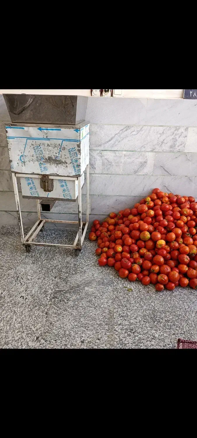 آبگیری گوجه درب منزل|خدمات پذیرایی، مراسم|قروه, |دیوار