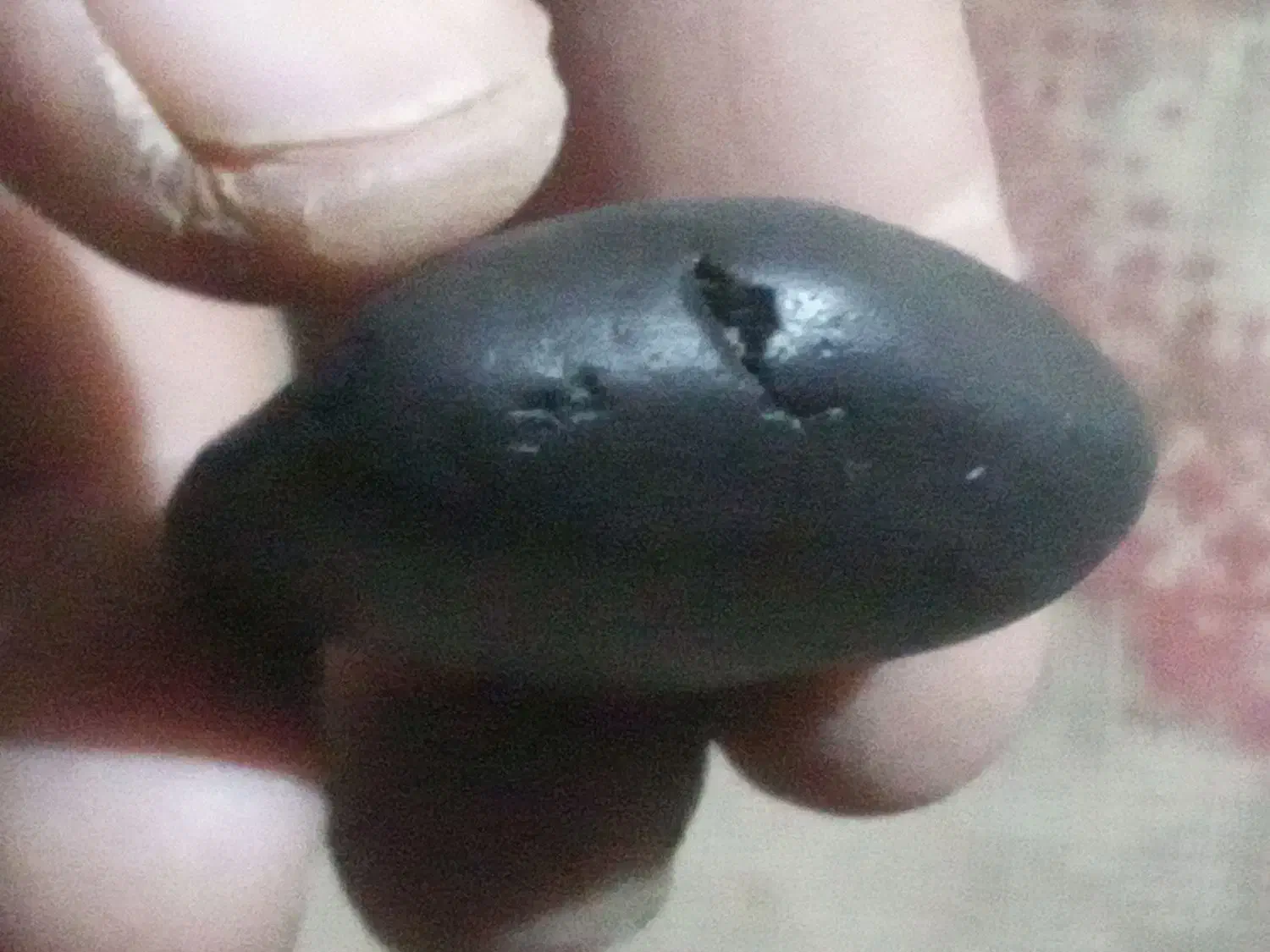 شهابسنگ|کلکسیون اشیاء عتیقه|خاش, |دیوار