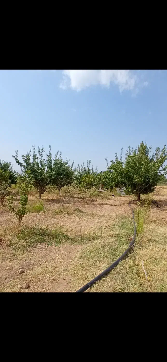 باغ|فروش خانه و ویلا|کرمانشاه, |دیوار