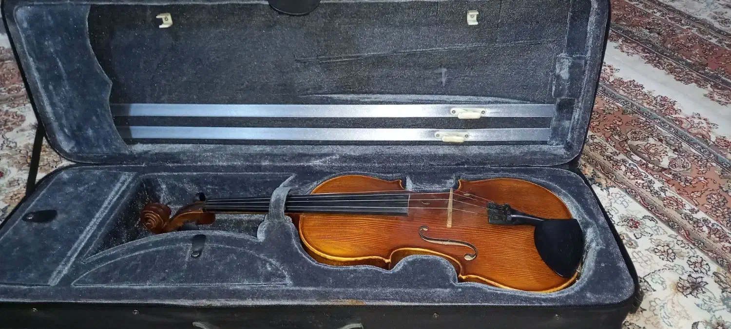 ویولن 4/4|ویولن|سنندج, |دیوار