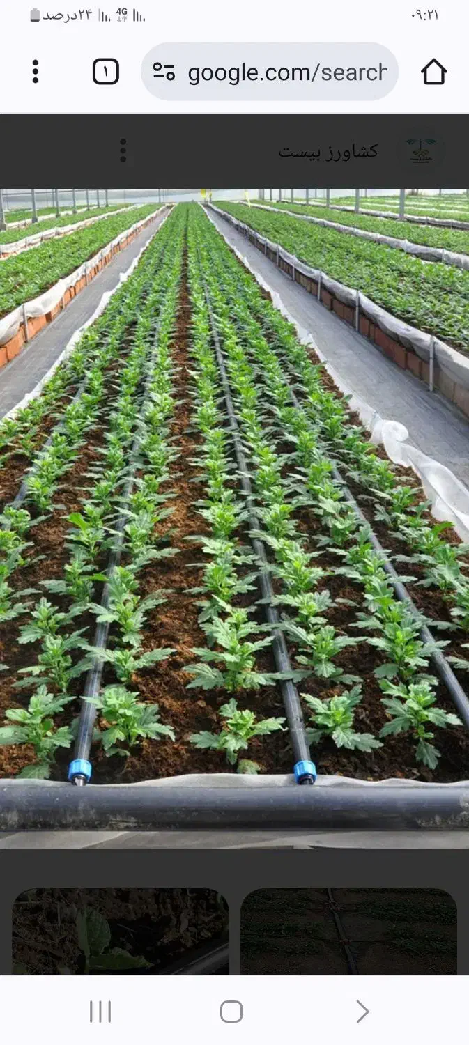 لوله قطره ای|خدمات پیشه و مهارت|بهبهان, |دیوار