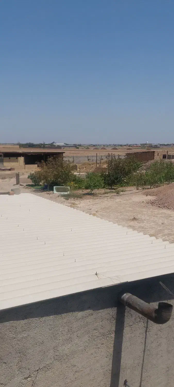 کشاورزی مزرعه ۲۱ هکتاری|فروش دفتر صنعتی، کشاورزی، تجاری|دشتابی, |دیوار