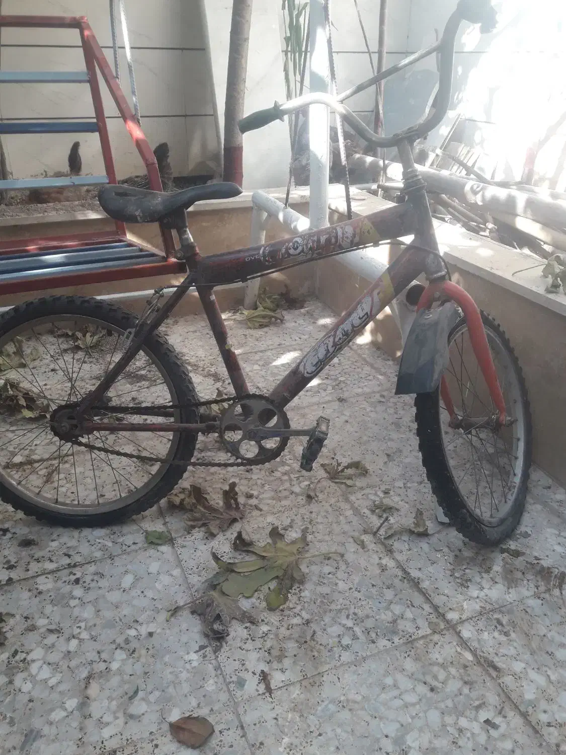 دوچرخه|دوچرخه، اسکیت، اسکوتر|اقبالیه, |دیوار