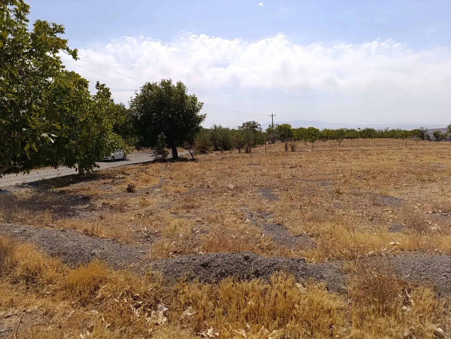 فروش زمین کشاورزی در دریان|فروش دفتر صنعتی، کشاورزی، تجاری|شبستر, |دیوار